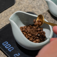 Load image into Gallery viewer, Loveramics CHAMPIONS SIGNATURE - Beans Dosing Tray Celadon Blue - Set of 2