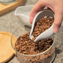 Load image into Gallery viewer, Loveramics CHAMPIONS SIGNATURE - Beans Dosing Tray Celadon Blue - Set of 2